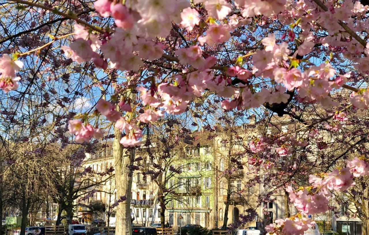 Reichel-Appartements Baden-Baden Eksteriør billede